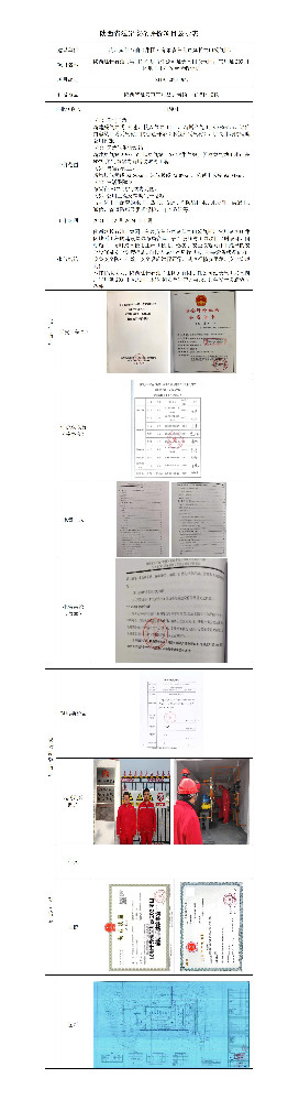 陕西延长石油（集团）有限责任公司延长气田采气四厂宜川延203井区地面工程安全验收评价