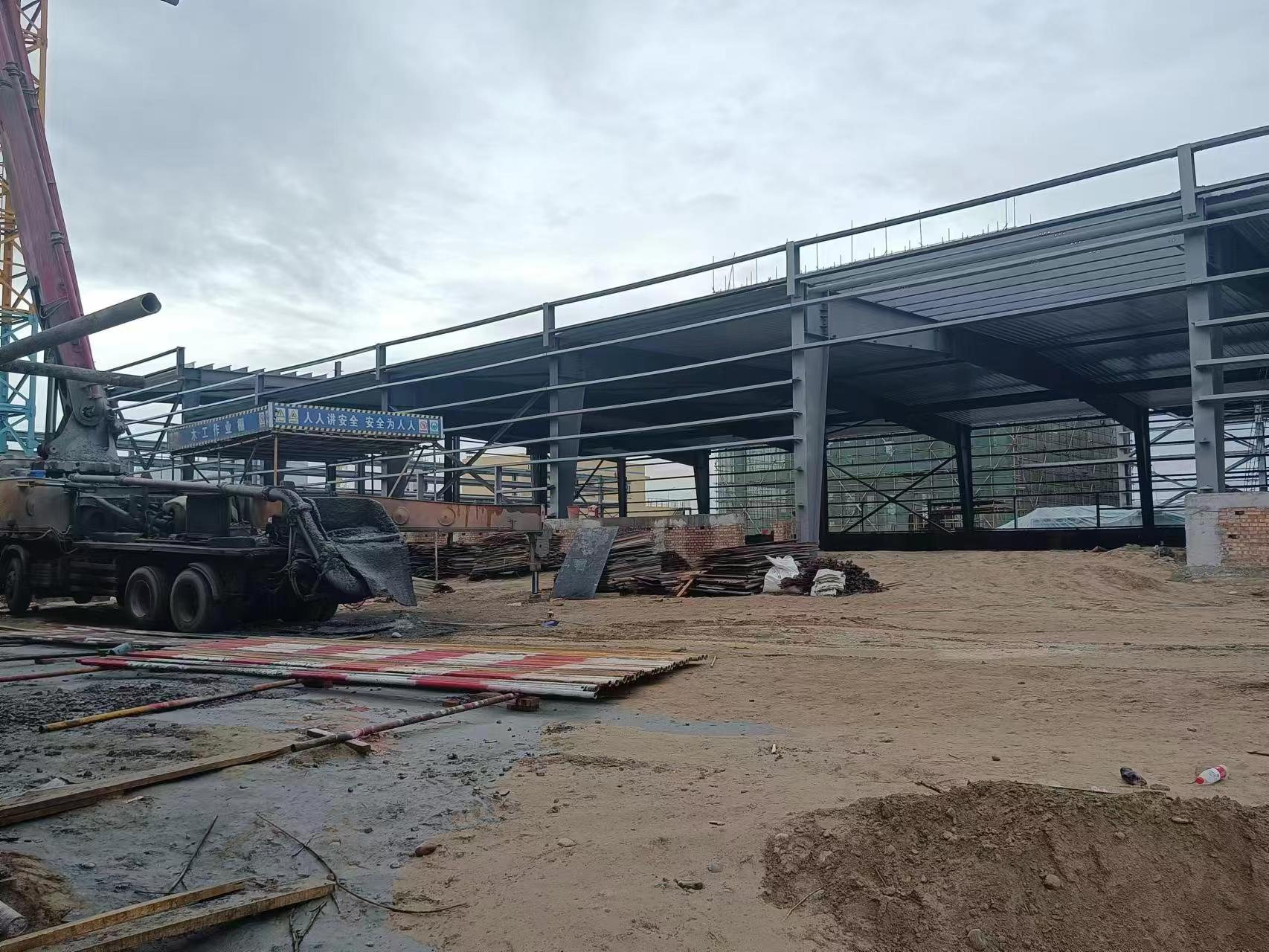 1703558744269372.jpg